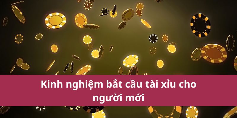 Hướng Dẫn Bắt Cầu Tài Xỉu Chuẩn Xác Cho Người Mới Chơi 2 Bắt cầu tài xỉu cho người mới cần có kinh nghiệm nào