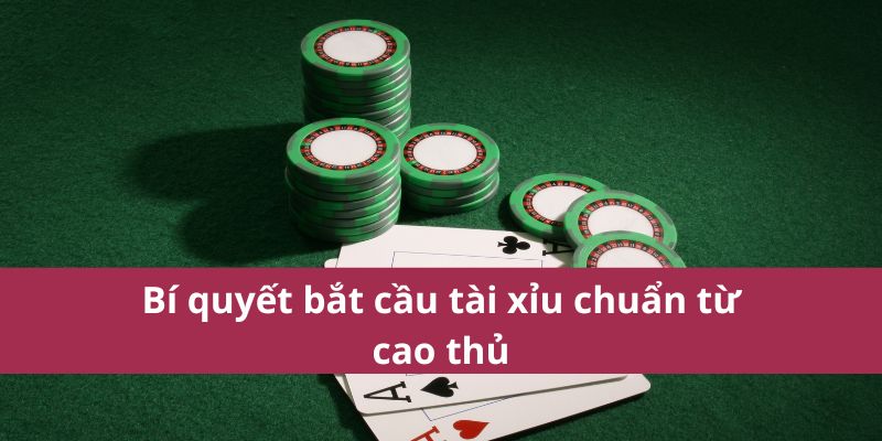 Hướng Dẫn Bắt Cầu Tài Xỉu Chuẩn Xác Cho Người Mới Chơi 3 Bí quyết bắt cầu tài xỉu chuẩn từ cao thủ